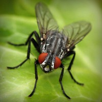 /album/pingcopabi/photolia-a01-jpg/