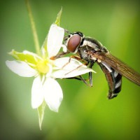 /album/pingcopabi/photolia-a02-jpg/