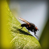 /album/pingcopabi/photolia-a04-jpg/