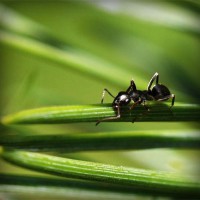 /album/pingcopabi/photolia-a05-jpg/