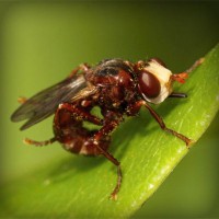 /album/pingcopabi/photolia-a06-jpg/