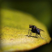 /album/pingcopabi/photolia-a07-jpg/