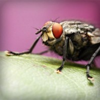 /album/pingcopabi/photolia-a08-jpg/